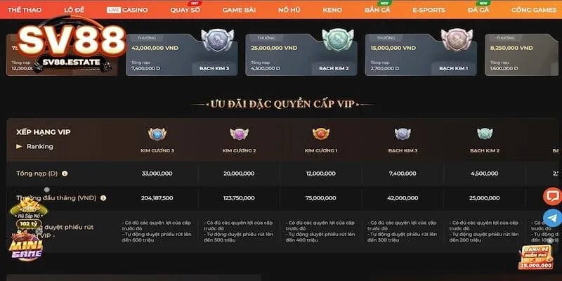 Nhiều cấp bậc trong chương trình VIP